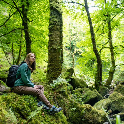 Turista na floresta Laurissilva