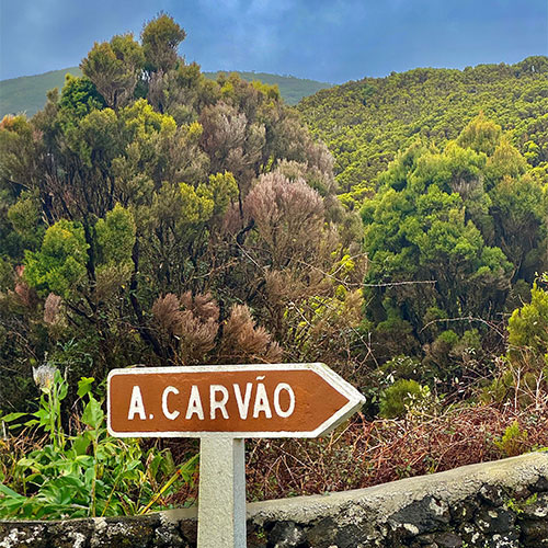 seta a indicar caminho para o Algar do Carvão